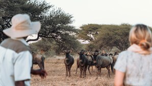 Safari a bordo di un fuoristrada