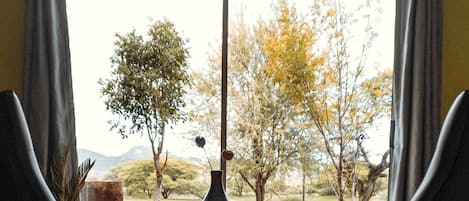 Deluxe Double or Twin Room | View from room