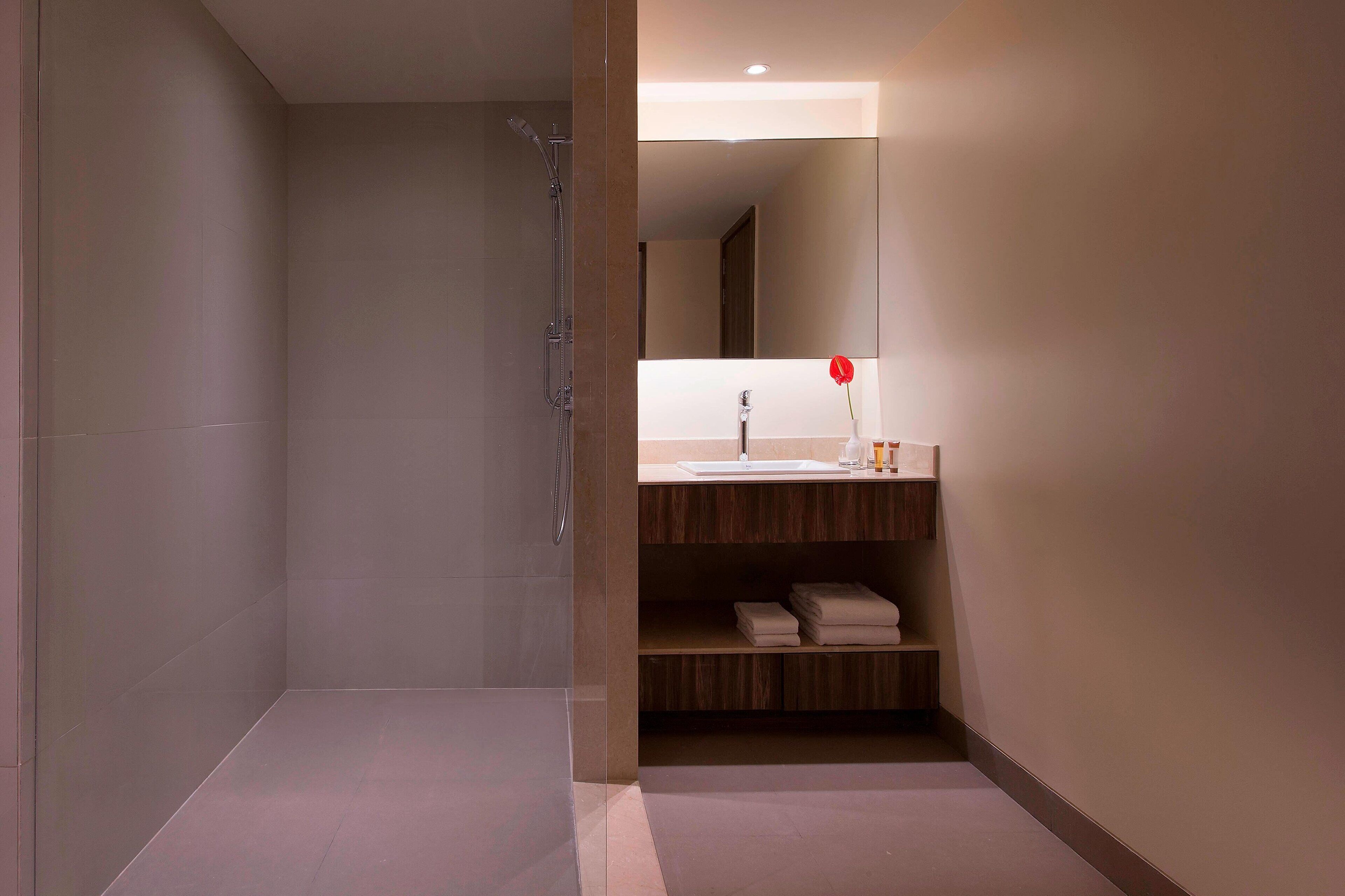 A modern bathroom with a walk-in shower, a sink, and a mirror.