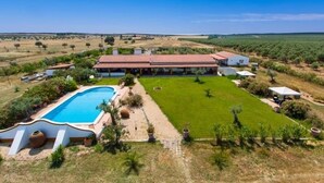 Una casa grande con piscina, césped cuidado y un viñedo al fondo.