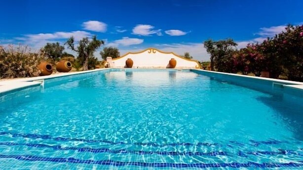 Una piscina azul cristalina con borde de azulejos, rodeada de vegetación y un muro decorativo con dos jarrones grandes.