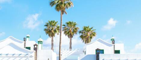 Vista desde la habitación