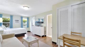 Studio, 1 grand lit et 1 canapé-lit | Wi-Fi gratuit