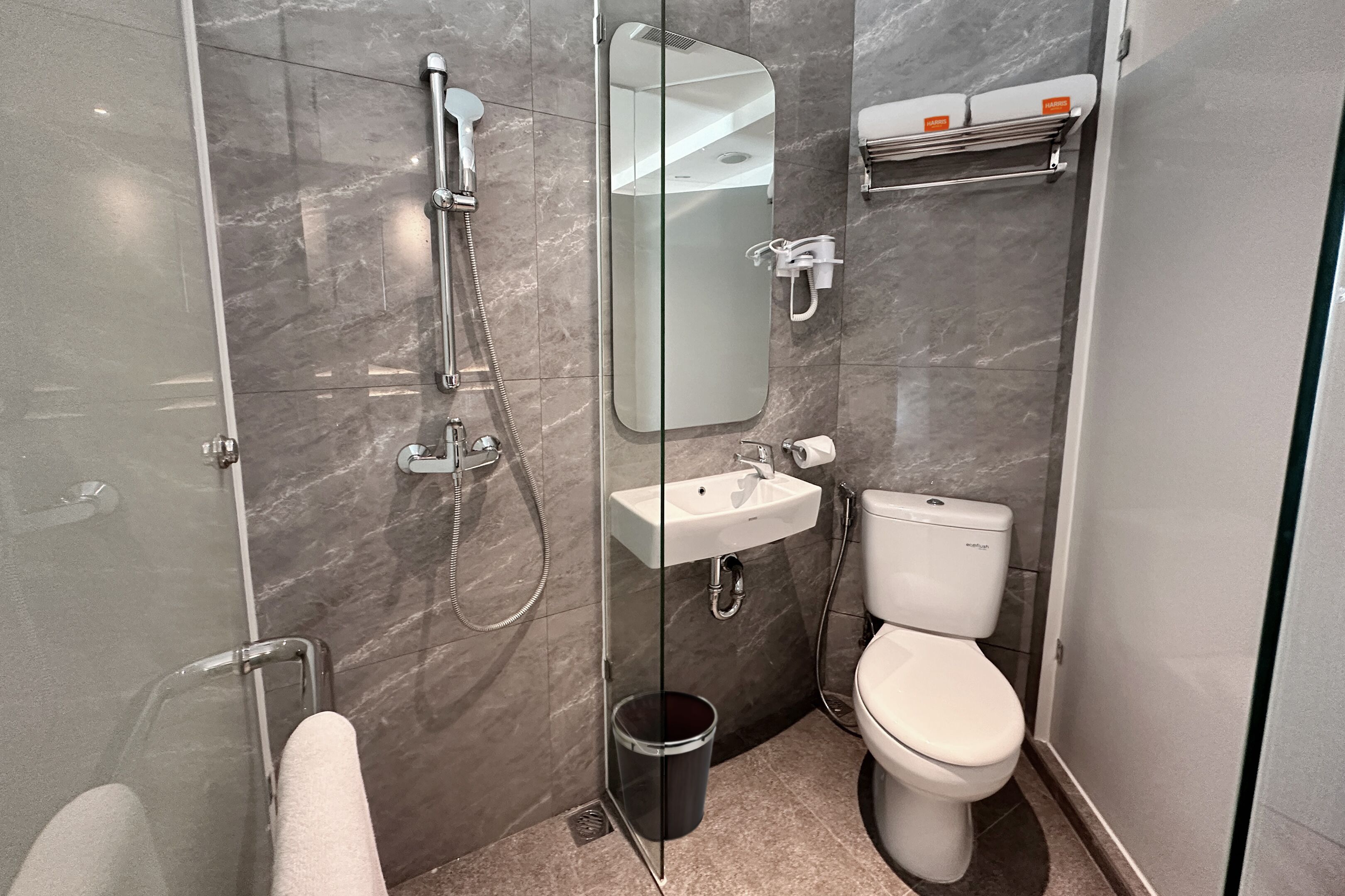 A modern bathroom with a glass shower enclosure, a white sink, and a toilet.