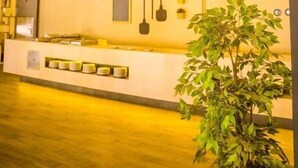 A reception area with a counter, hanging decorations, and a potted plant.