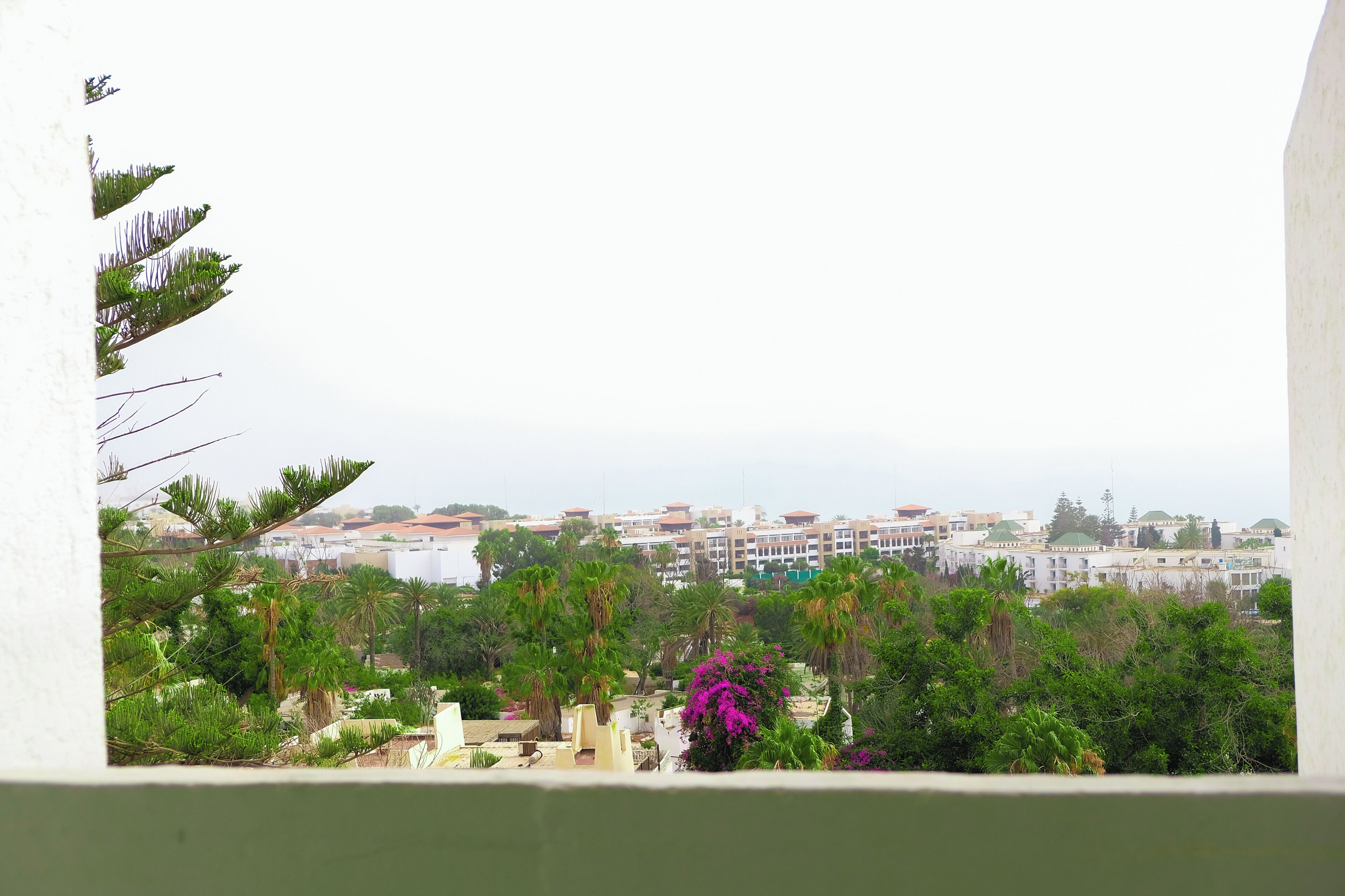 Foto - HAMILTON Agadir