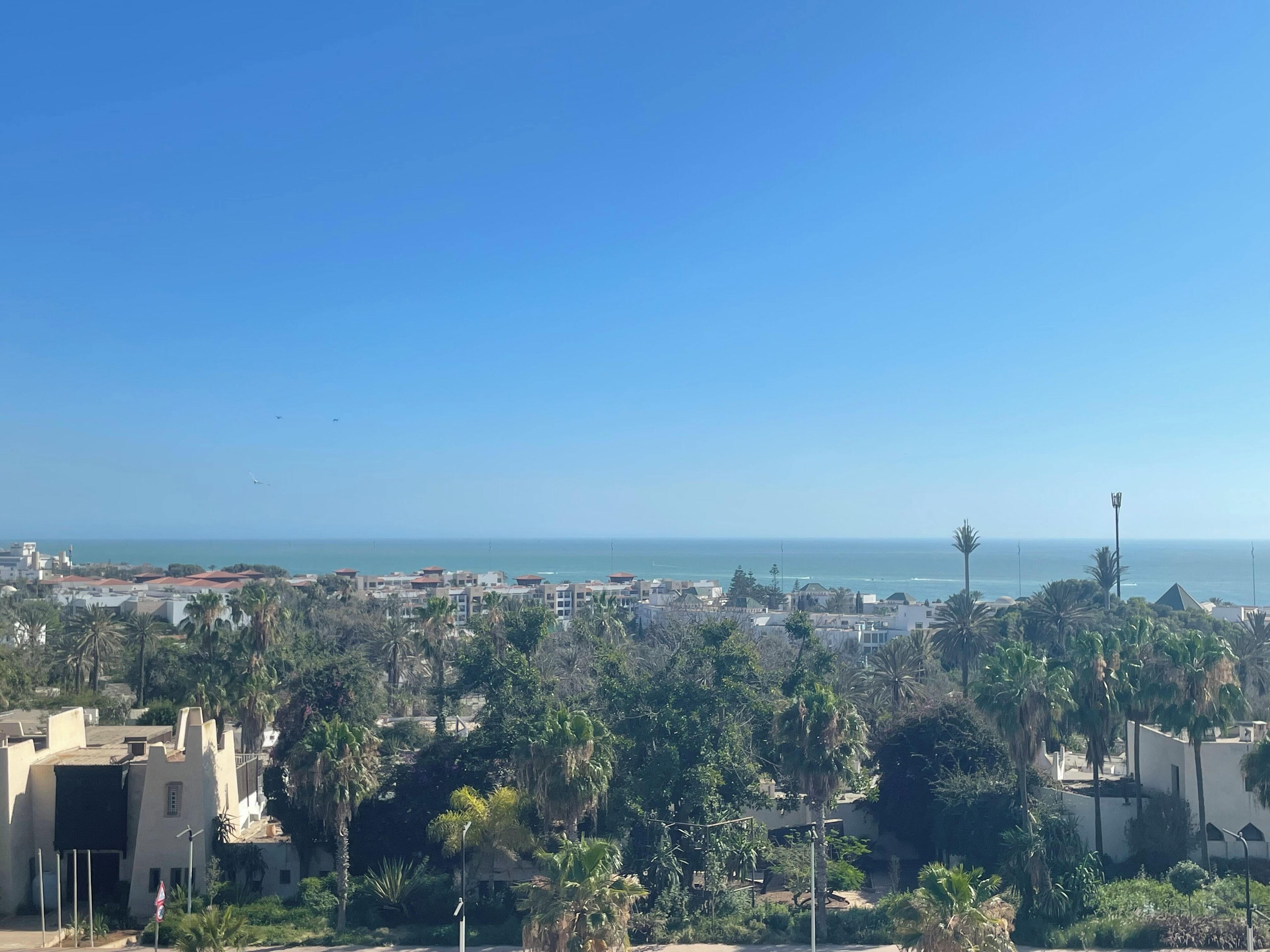 Photo - HAMILTON Agadir