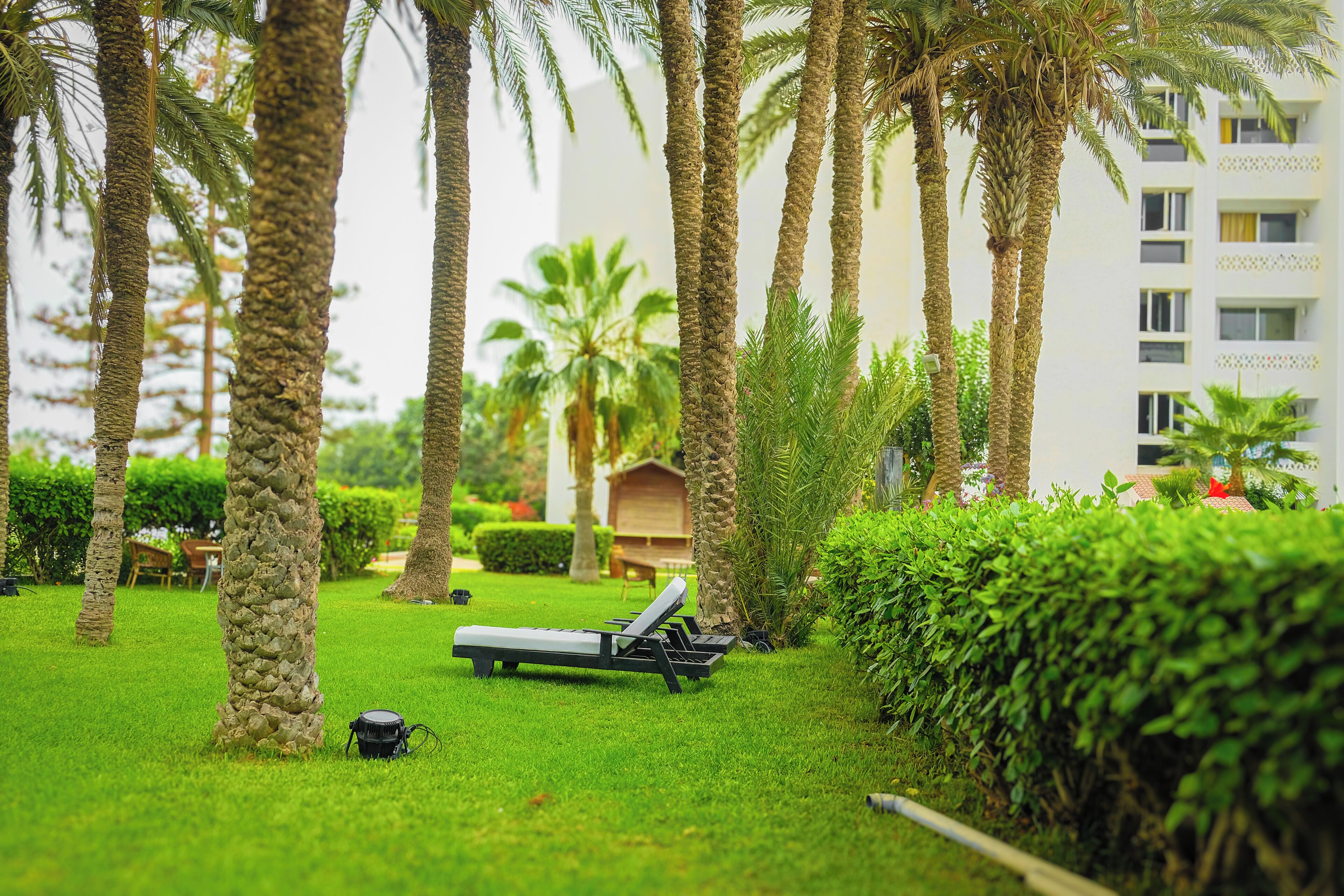 Garten