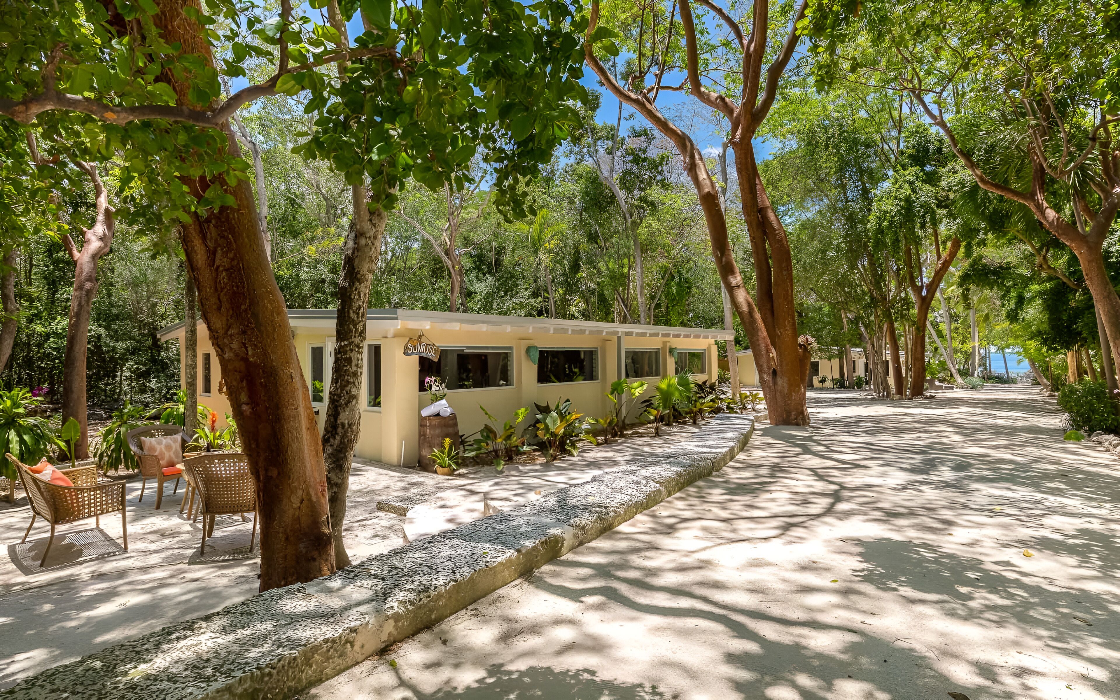 A tree-lined pathway leading to a building with a sign reading "Sunrise."