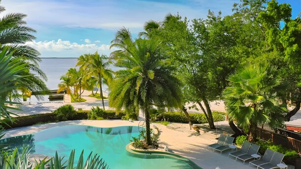 A pool surrounded by palm trees and a beach area with lounge chairs. - Largo Resort (Key Largo)