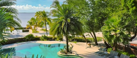 Una piscina al aire libre, sombrillas, sillones reclinables de piscina