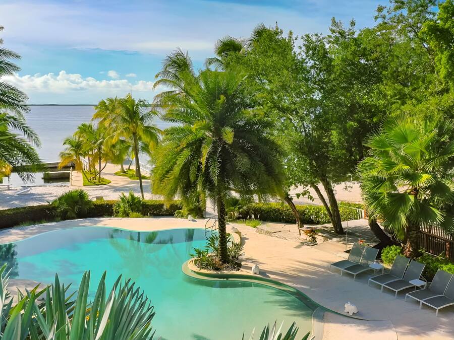 Outdoor pool, pool umbrellas, pool loungers