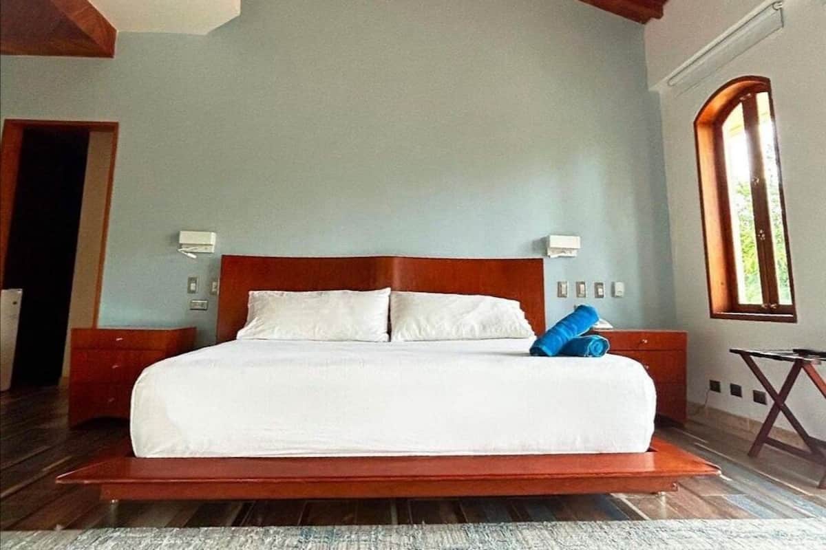 Premium bedding, minibar, in-room safe, soundproofing