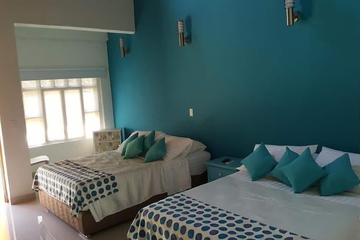 Premium bedding, minibar, in-room safe, soundproofing
