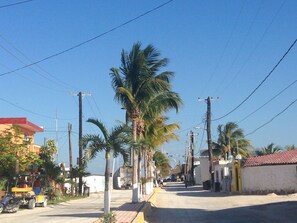 A street lined with palm trees and buildings, with a clear blue sky.