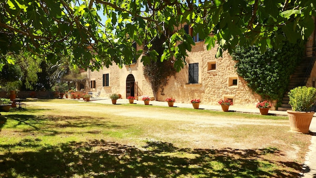 Un patio con un edificio de piedra, plantas en macetas y cielo despejado.