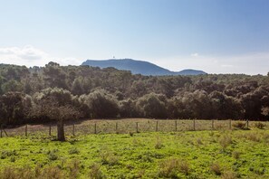Apartment (4 People) | Ausblick vom Zimmer