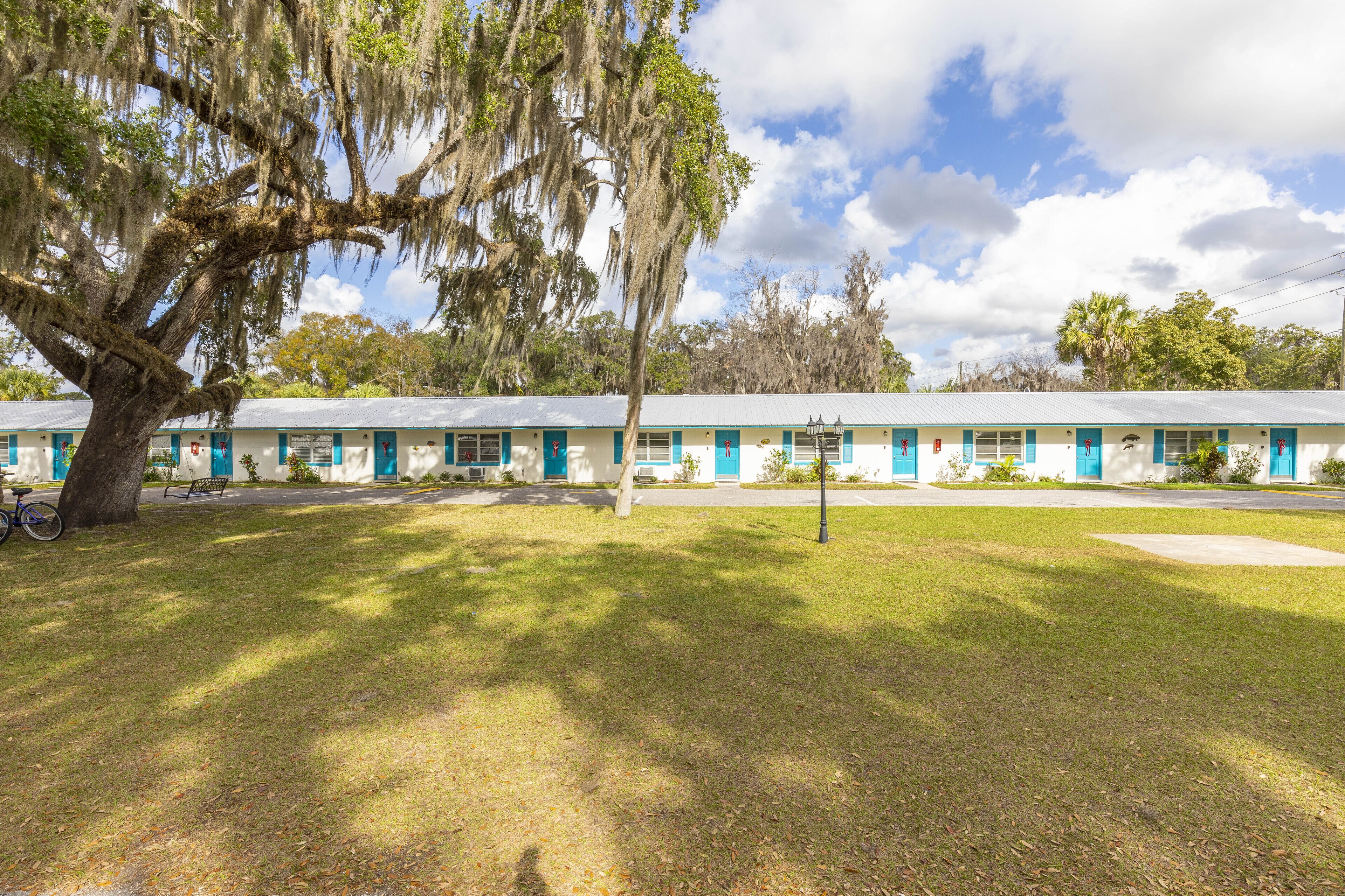 A motel with a row of rooms, a large tree with Spanish moss, and a clear sky.