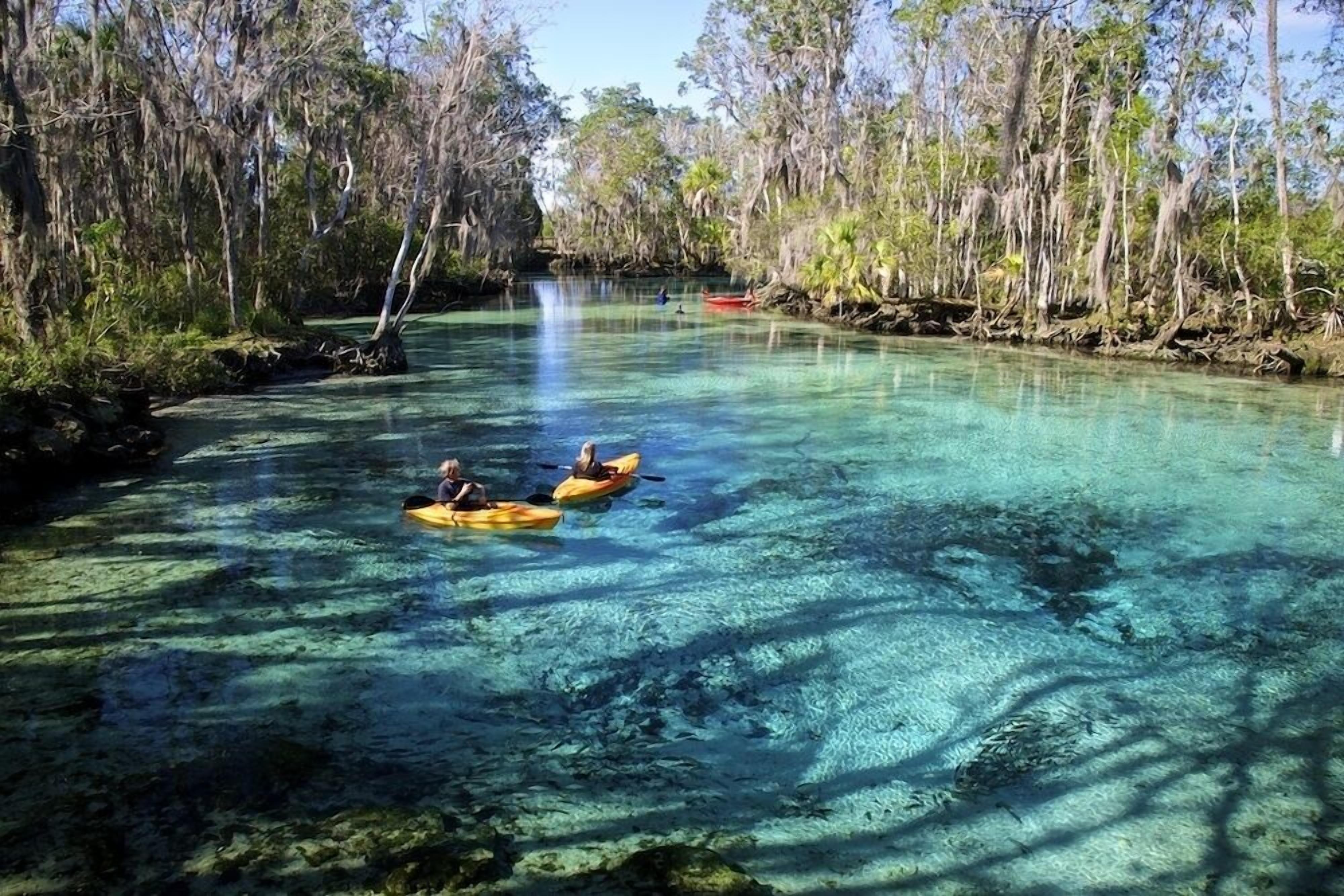 Des personnes pratiquent le kayak sur une rivière aux eaux claires, bordée d’arbres.