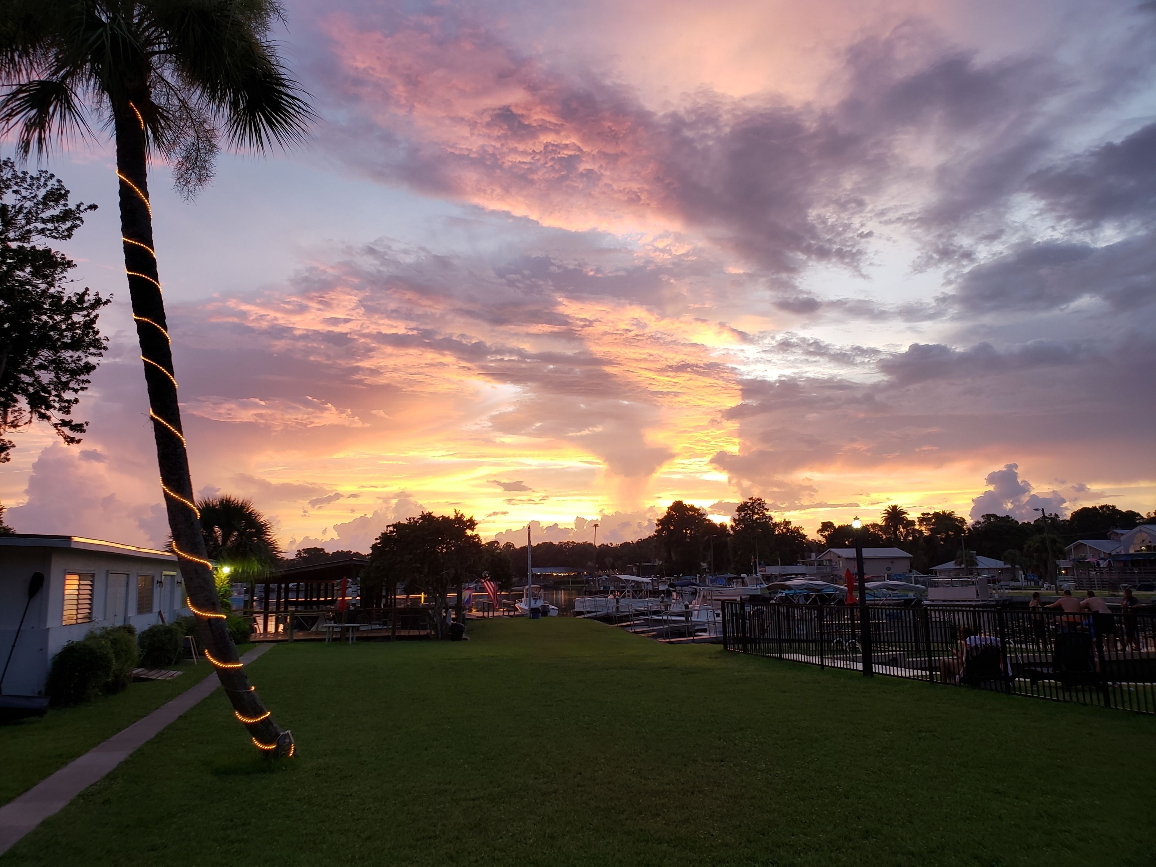 Un atardecer sobre un puerto deportivo con barcos, un área verde y una palmera con luces.