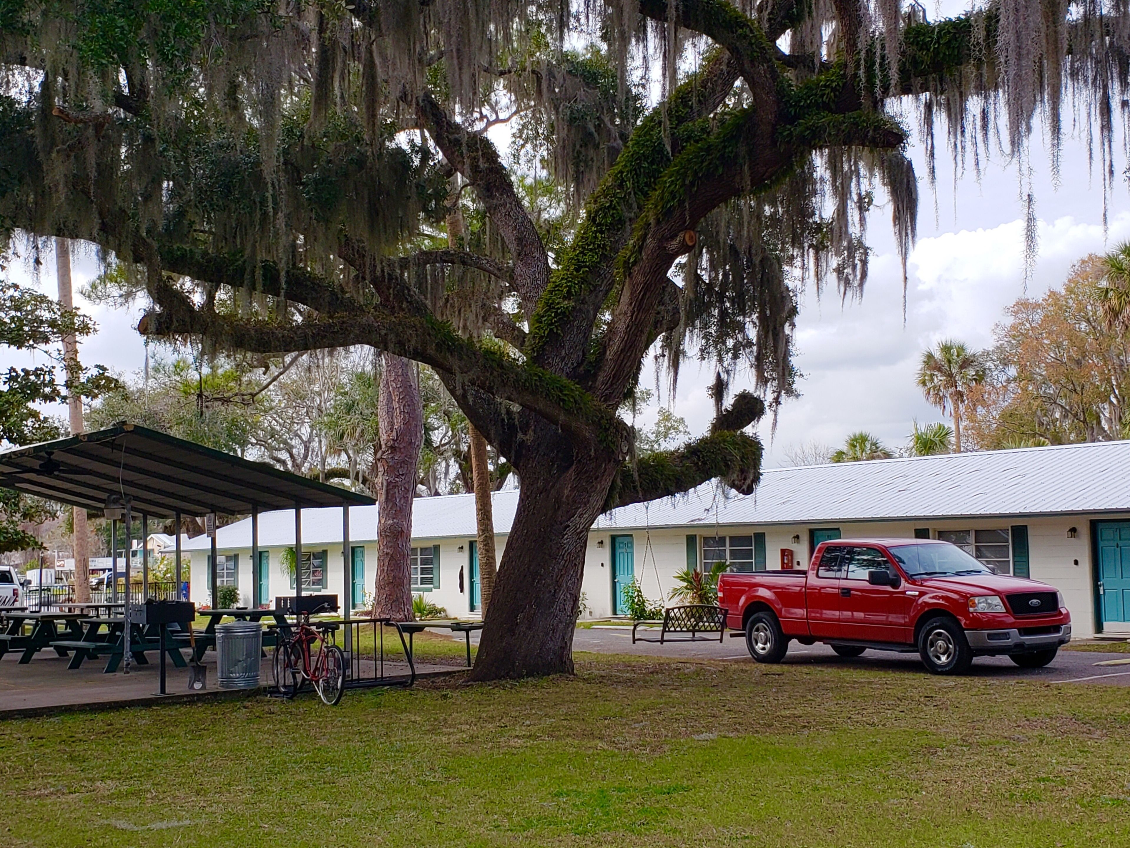 Ein großer Baum mit spanischem Moos, ein roter Pickup und ein Gebäude mit überdachter Terrasse.