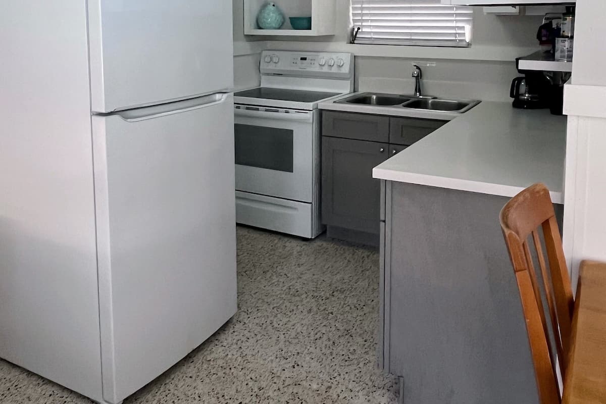 Full-sized fridge, microwave, oven, stovetop