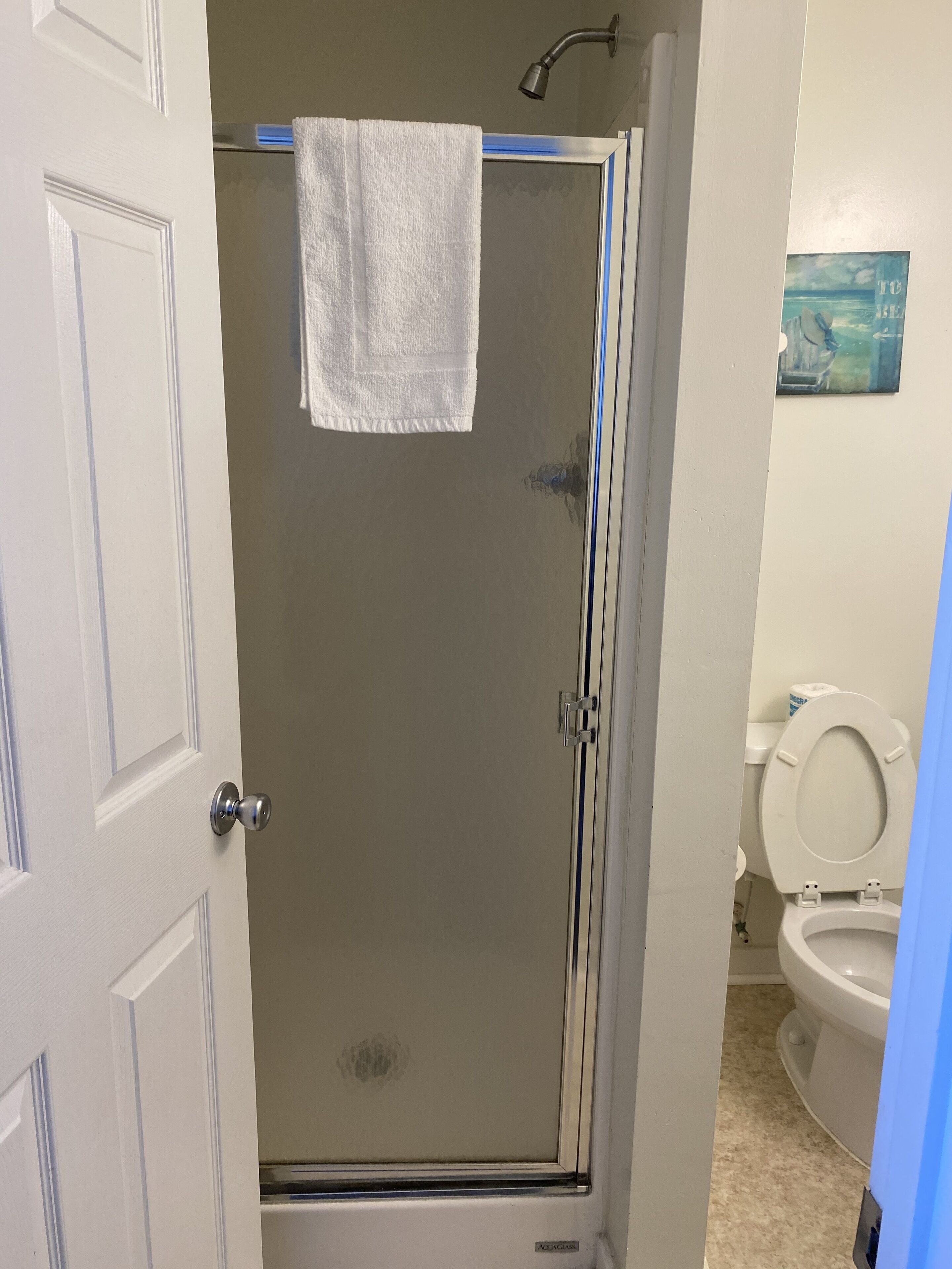 A bathroom with a glass shower door, a white towel hanging on the door, and a toilet visible in the background.