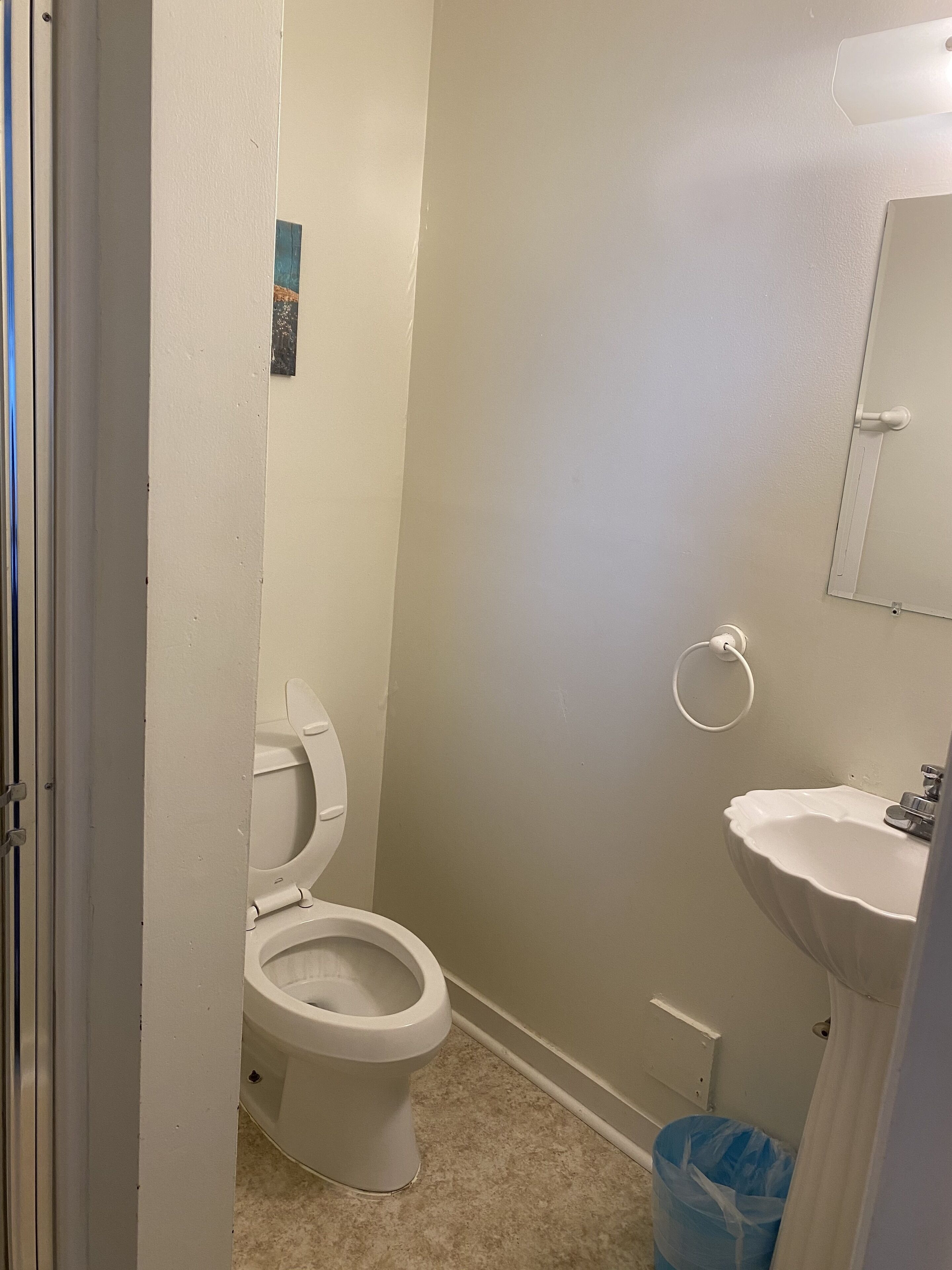 Un baño pequeño con inodoro, lavamanos y un aro para toallas en la pared.