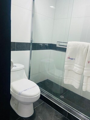 A modern bathroom with a white toilet, a glass shower enclosure, and a black tiled floor. - Hotel Baja del Sol Inn (Playas de Rosarito)