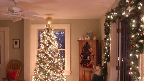A room with a large Christmas tree, wooden furniture, and a view of the outside. - The Seafarer Inn (Rockport)