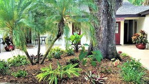 Un patio con un árbol grande, diversas plantas y un edificio con una puerta roja con la etiqueta 'Confi Desk'.