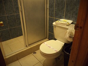 Single Room | Bathroom | Shower, free toiletries, hair dryer