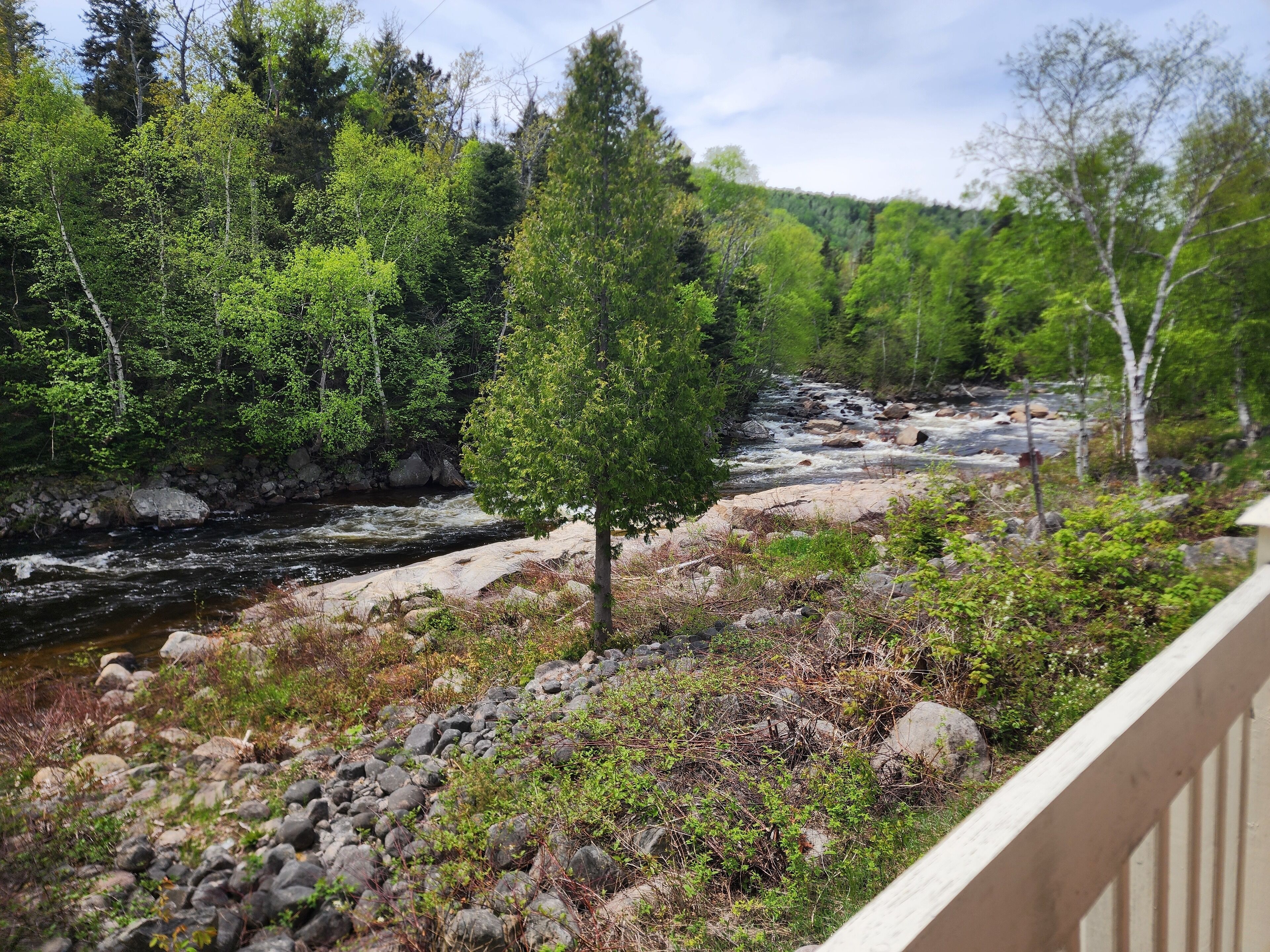 A river flowing through a forested area with a rocky foreground and a wooden deck in the foreground.
