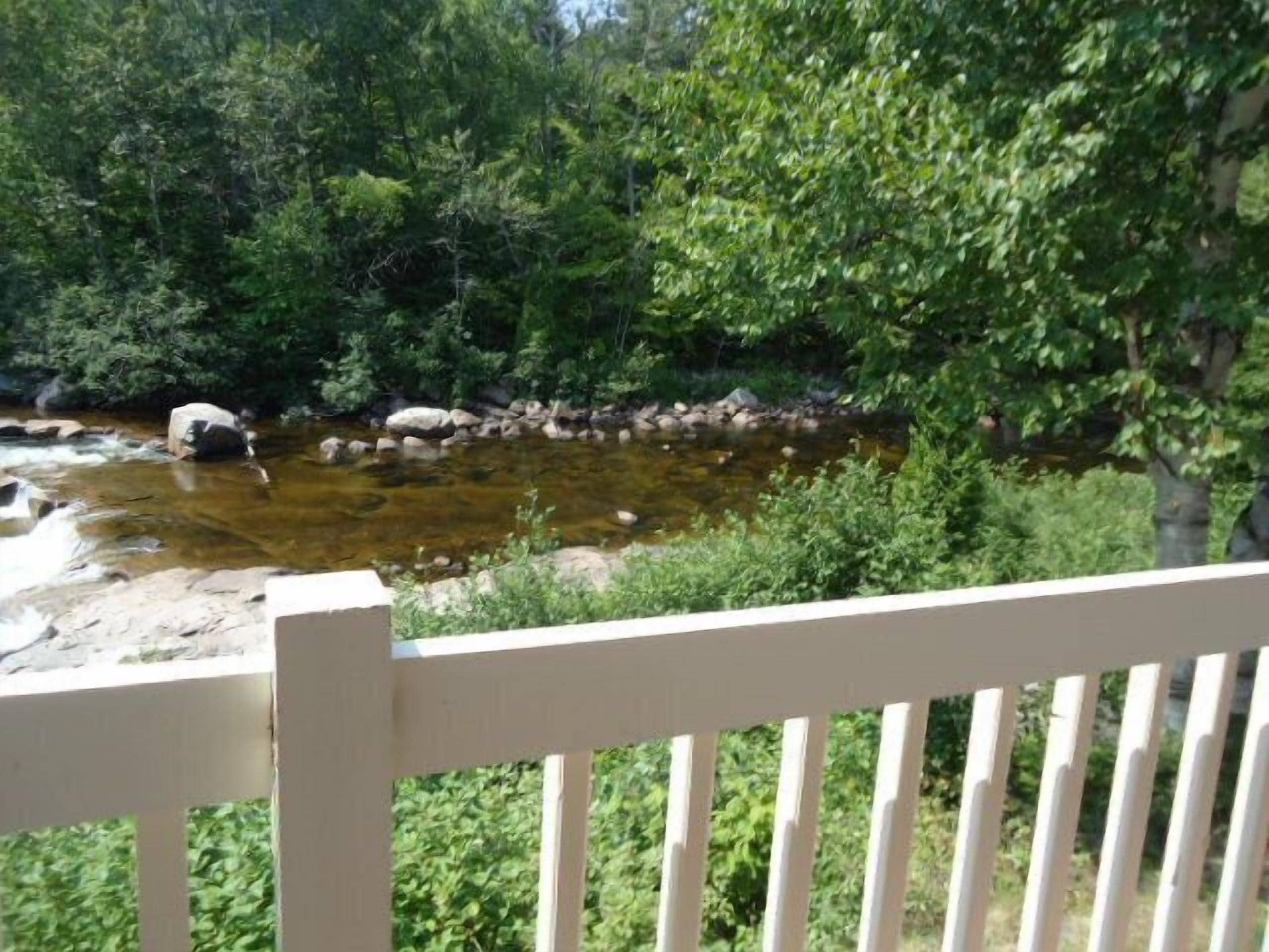 Vista de un río con rocas y vegetación, tomada desde una barandilla blanca.