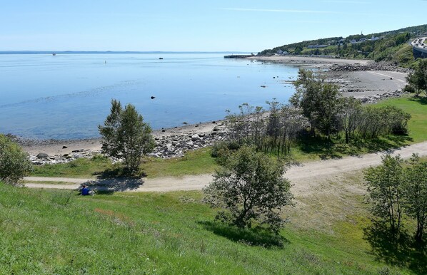Un paisaje costero con vista despejada al mar, una playa de arena y una zona verde con árboles.