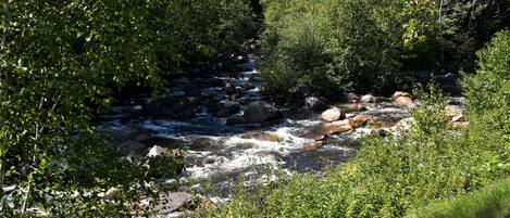 A river flowing through a forested area with rocks and dense greenery.