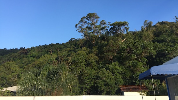 A view of a hillside with dense green foliage and a clear blue sky. - The Hyperion Boutique Hotel (Florianópolis)
