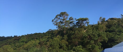 Vista a la montaña