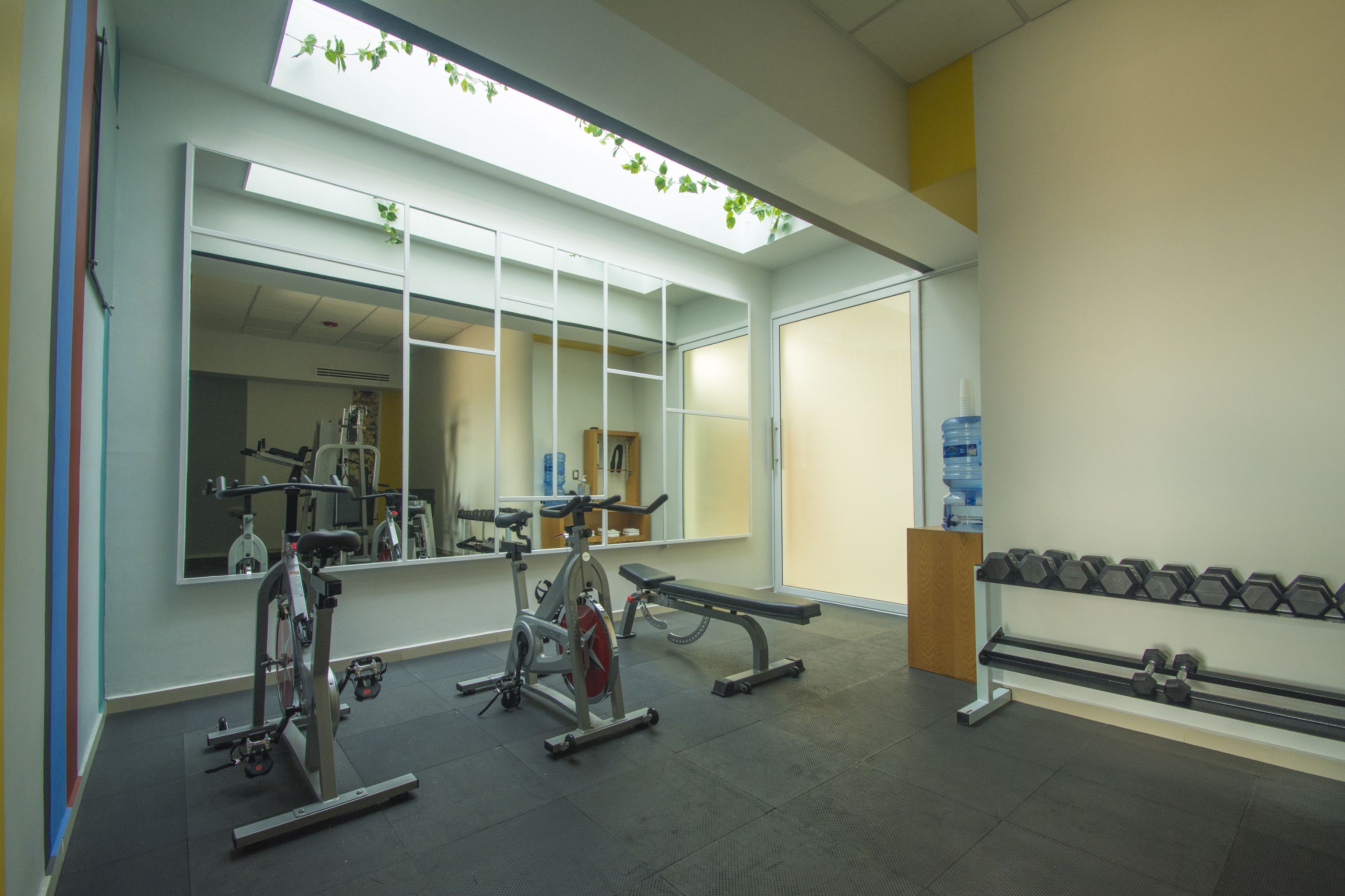 A gym with exercise equipment, a bench, and a rack of dumbbells.