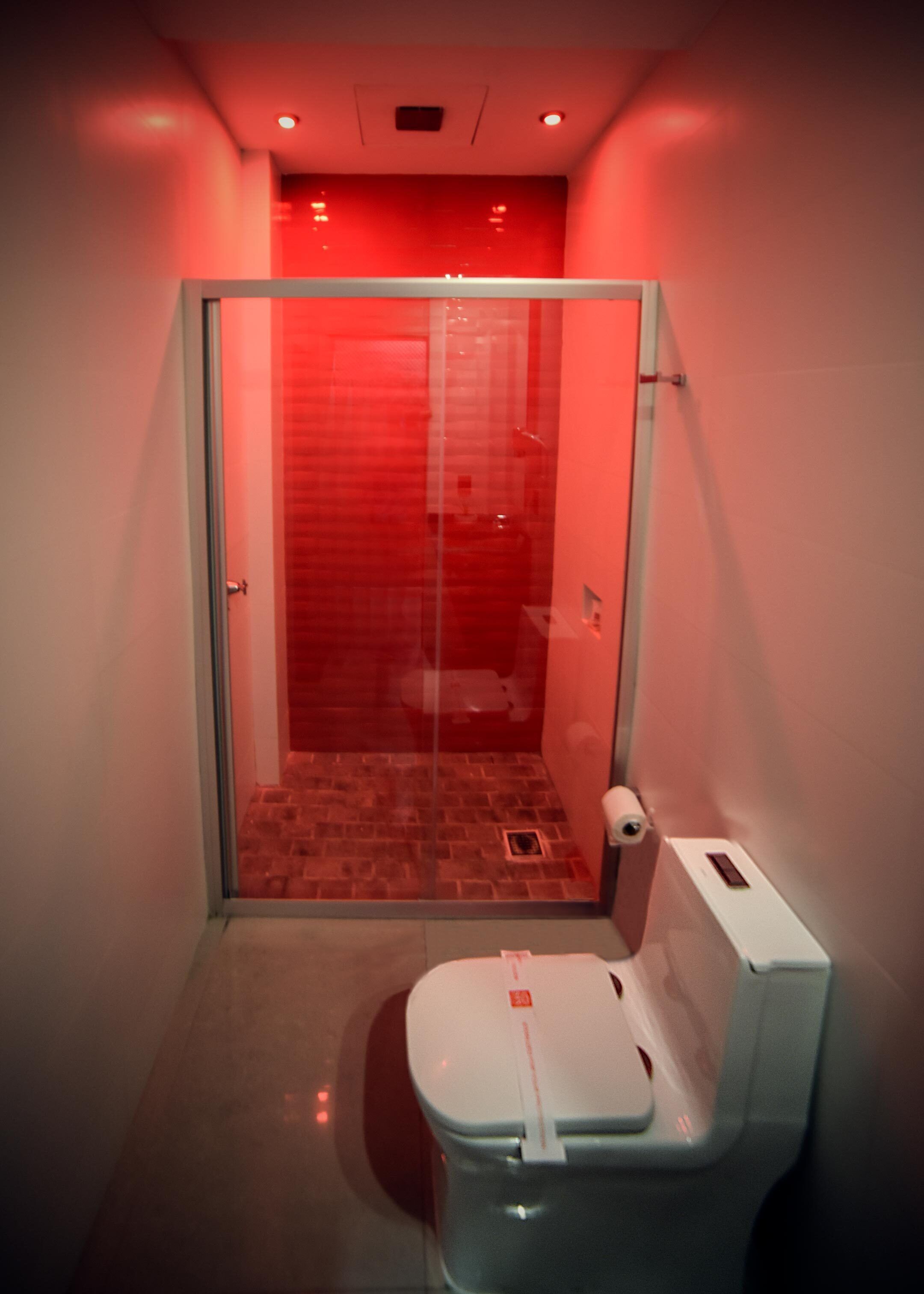 Un bagno piccolo e privato con porta in vetro, un water e zona doccia.