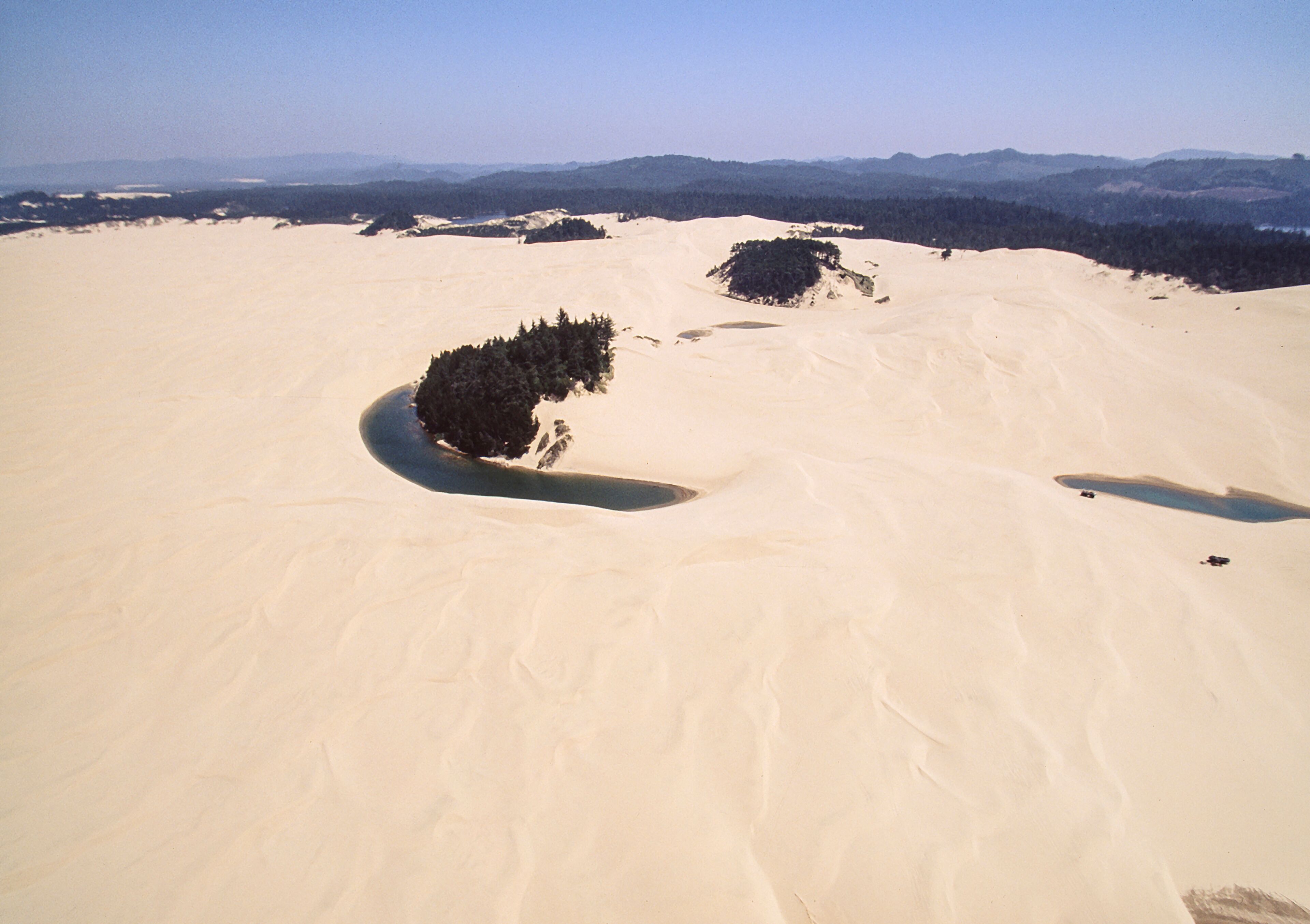 Vasta paisagem desértica com dunas de areia e vegetação escassa.