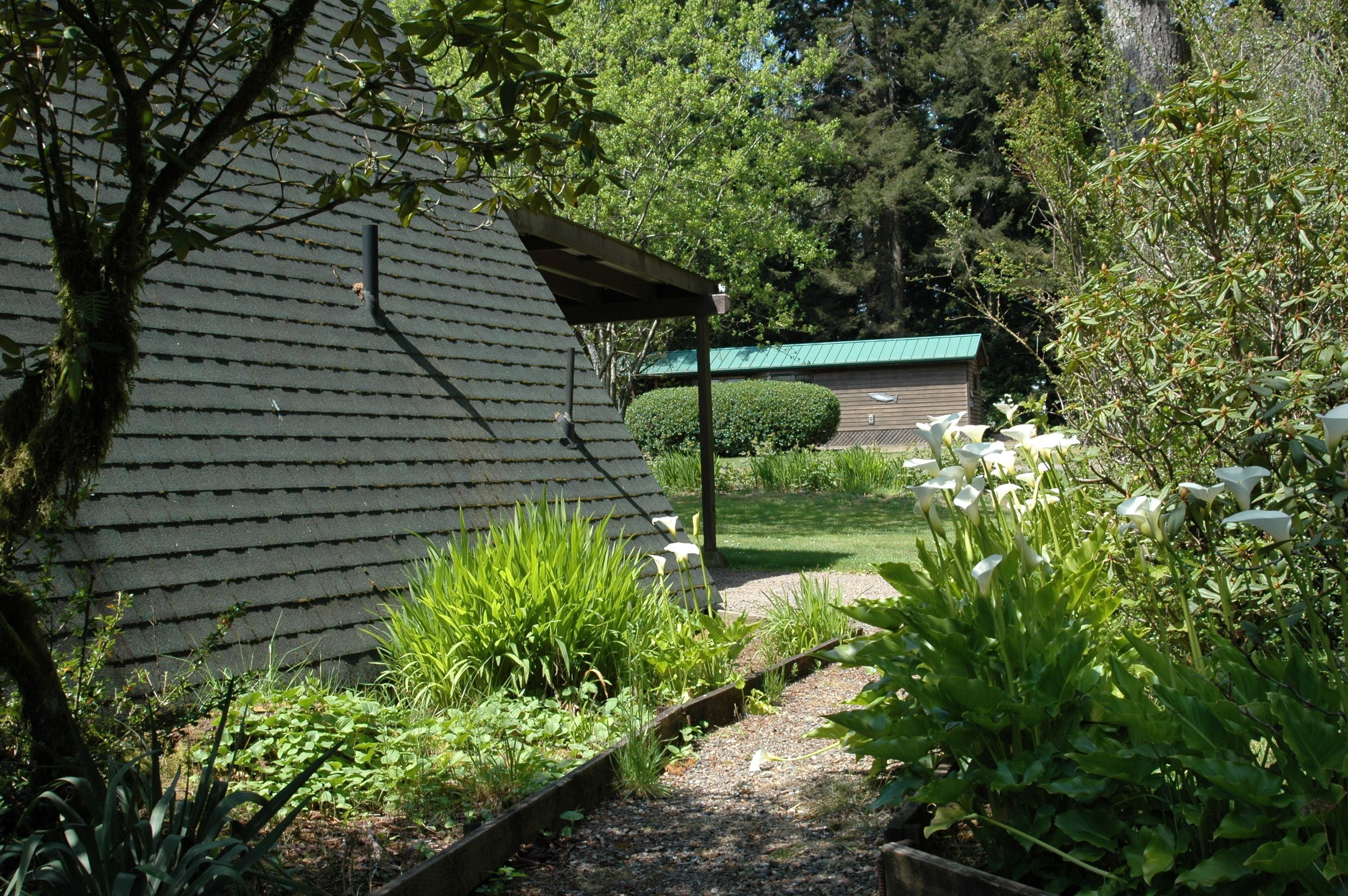 A garden with a pathway, a wooden structure, and various plants.