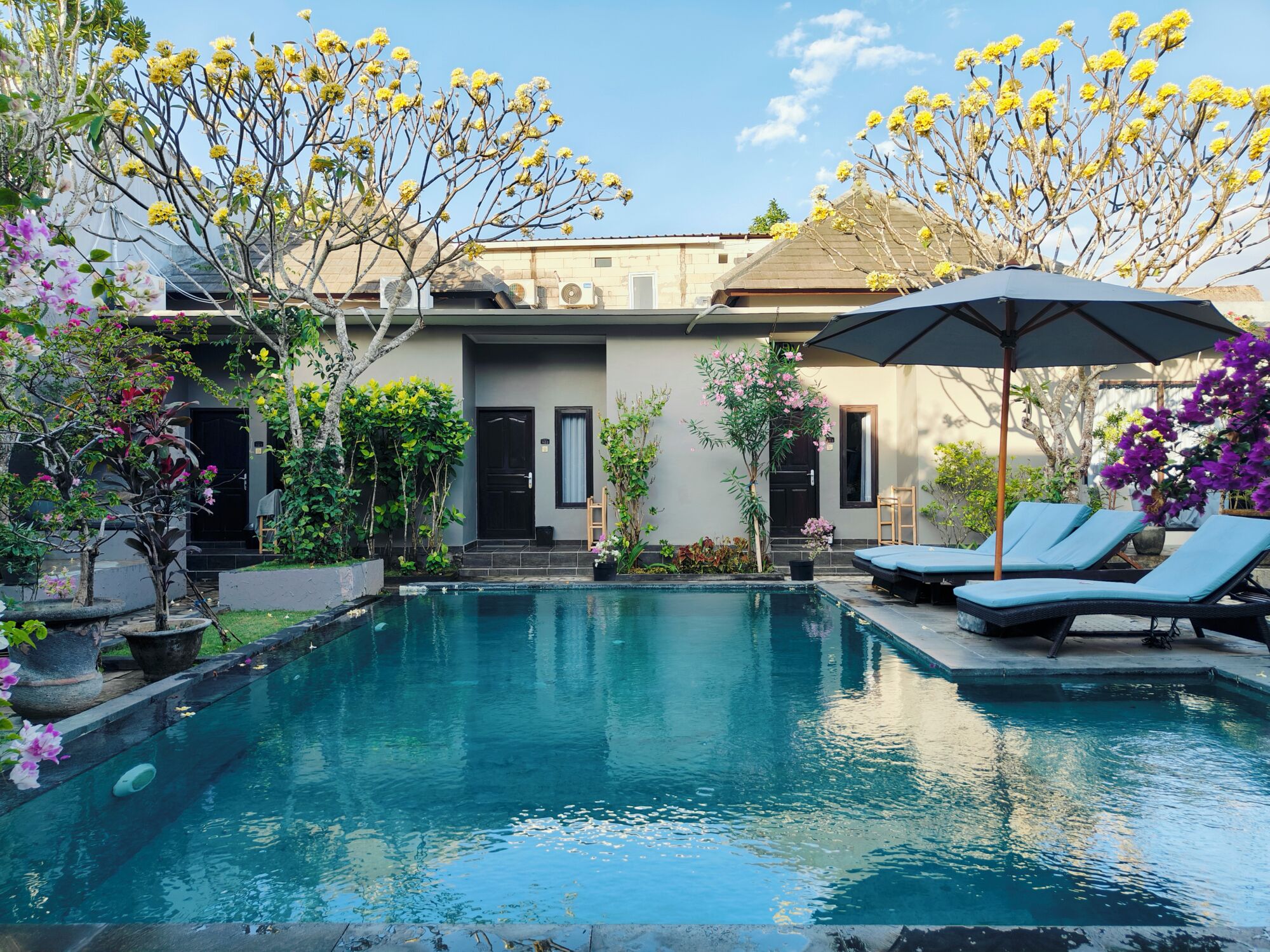 A swimming pool with lounge chairs and an umbrella, surrounded by various plants and a building with a door and windows.