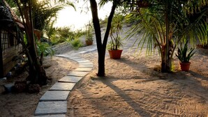 Un sendero de piedra que atraviesa una zona arenosa con plantas en macetas y árboles.