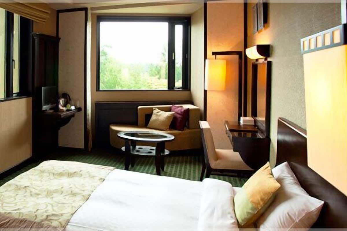 A hotel room with a bed, a small round table, a sofa, a TV, and a window with a view of greenery.