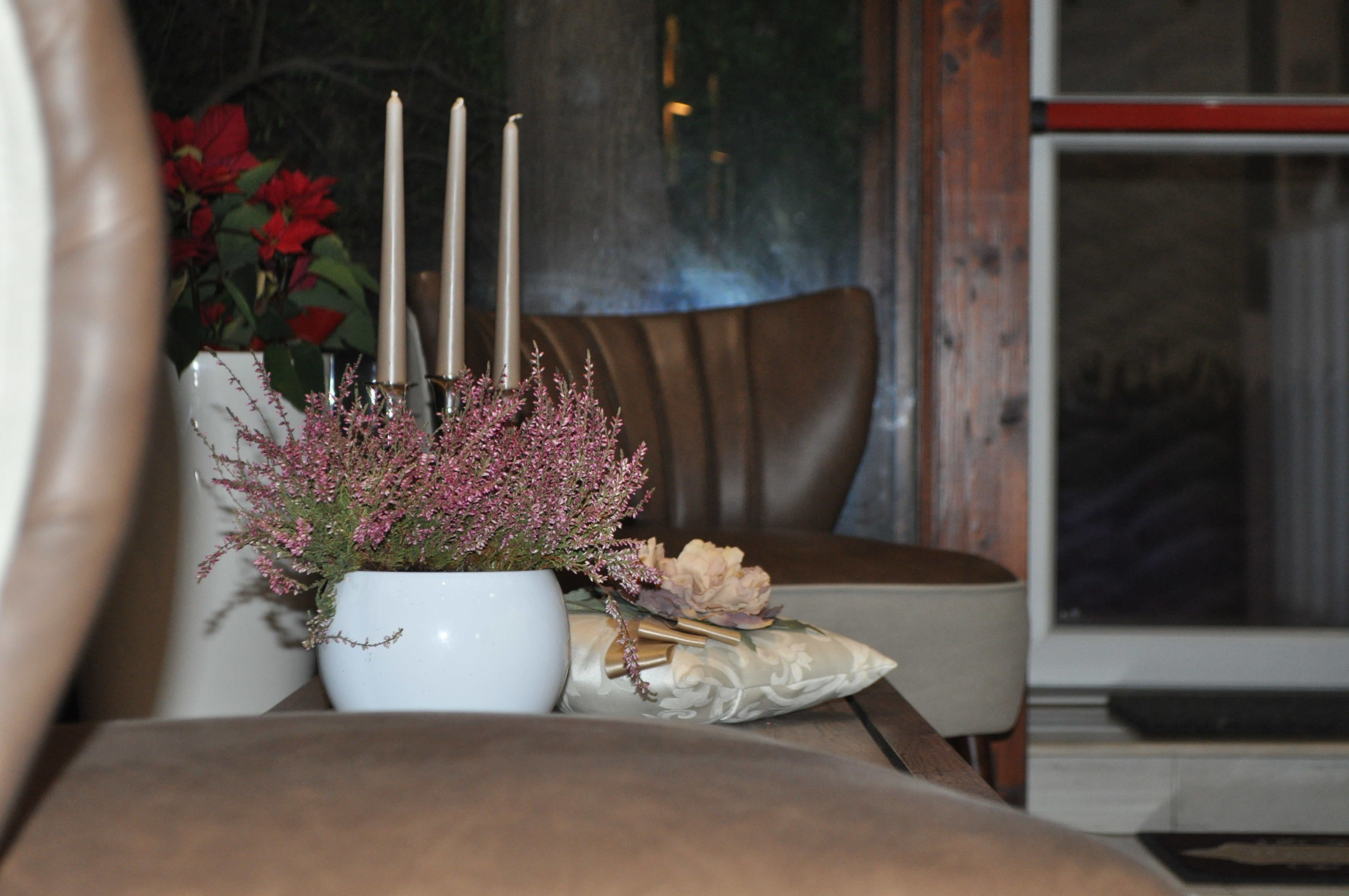 Photo - Agri Art Croce Vallone