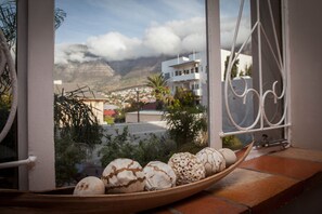 The Leopard Room | View from room