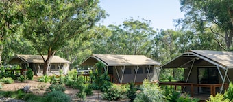 Port Stephens Koala Sanctuary