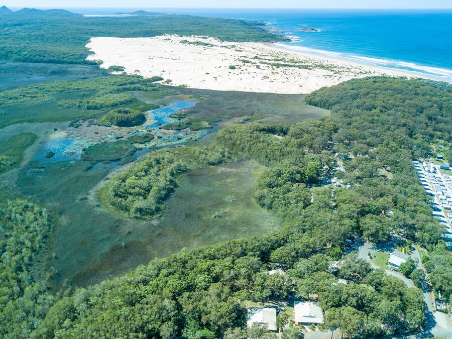 Luftaufnahme einer Küstenregion mit dichtem Wald, einem Strand und einer Straße mit geparkten Autos.