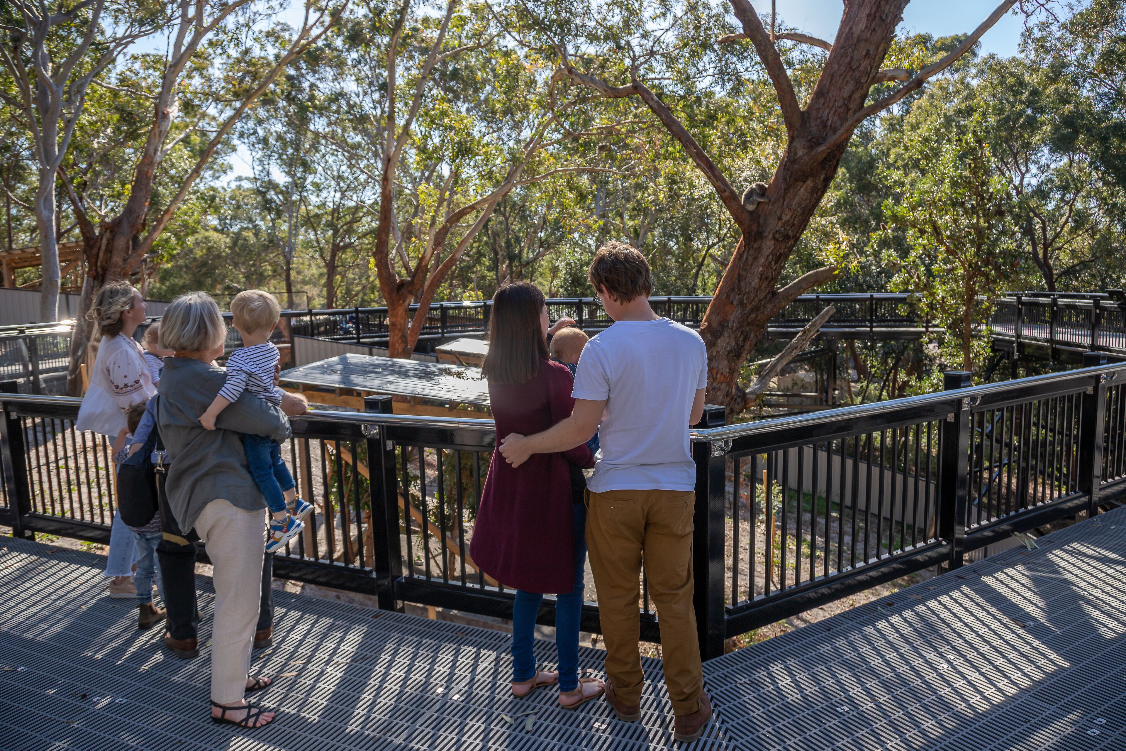 A group of people standing on a wooden deck with metal railings, overlooking a park with trees and a bridge.